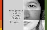 Chapter 4 Immigration and the United States. Chapter Overview I.Introduction II.History III.Issues IV.Videos V.Y.J.U.s VI.Guest Speaker (optional) VII.Review.