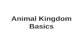 Animal Kingdom Basics. Body Areas Head Back Tail end Belly.