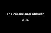 The Appendicular Skeleton Ch. 5c. The Appendicular Skeleton Slide 5.32a Copyright © 2003 Pearson Education, Inc. publishing as Benjamin Cummings  Limbs.