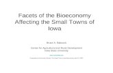 Facets of the Bioeconomy Affecting the Small Towns of Iowa Bruce A. Babcock Center for Agricultural and Rural Development Iowa State University .