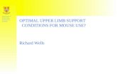 Department of Kinesiology, University of Waterloo OPTIMAL UPPER LIMB SUPPORT CONDITIONS FOR MOUSE USE? Richard Wells.