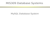 MySQL Database System MIS309 Database Systems. 2 2-Tier Architecture Web Browser (Client) Web Server PHP.