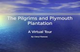 The Pilgrims and Plymouth Plantation A Virtual Tour By Cheryl Romano.