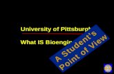University of Pittsburgh What IS Bioengineering?.