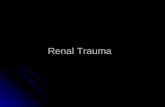 Renal Trauma. Kidney is one of the most frequent internal abdominal organ to be injured. Kidney is one of the most frequent internal abdominal organ to.