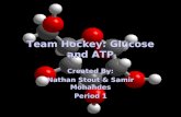 Team Hockey: Glucose and ATP Created By: Nathan Stout & Samir Mohandes Period 1.