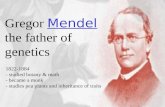 Gregor Mendel the father of genetics 1822-1884 - studied botany & math - became a monk - studies pea plants and inheritance of traits.