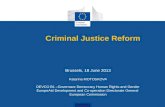 Criminal Justice Reform Brussels, 18 June 2013 Katarina MOTOSKOVA DEVCO B1 –Governace Democracy Human Rights and Gender EuropeAid Development and Co-operation.