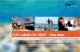 ICES Advice for 2015 – Sea bass Carmen Fernández, ICES ACOM vice-chair For Inter AC Sea bass workshop (Paris, May 26, 2015)