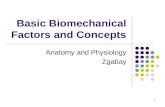 1 Basic Biomechanical Factors and Concepts Anatomy and Physiology Zgabay.