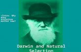 Darwin and Natural Selection Intro: Why does evolution matter now?  rg/wgbh/evolutio n/educators/tea chstuds/svideos.html .