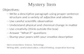 Mystery Item Objectives: – Write a descriptive paragraph using proper sentence structure and a variety of adjective and adverbs – Use careful scientific.