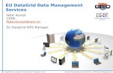 DataGrid is a project funded by the European UnionVirtual Observatory as a Data Grid – WP2 Data Management Peter Kunszt CERN Peter.Kunszt@cern.ch Peter.Kunszt@cern.ch.