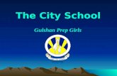 The City School Gulshan Prep Girls. ACTION PLAN Prepared by: Ms. Erum Fatima History Teacher 2011.
