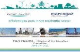 Efficient gas uses in the residential sector Marc Florette – Member of the Executive Committee June 24 th 2011.