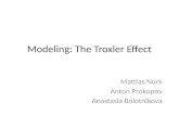 Modeling: The Troxler Effect Mattias Nurk Anton Prokopov Anastasia Bolotnikova.