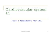 University of Jordan 1 Cardiovascular system L1 Faisal I. Mohammed, MD, PhD.