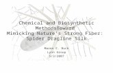 Chemical and Biosynthetic MethodsToward Mimicking Nature’s Strong Fiber: Spider Dragline Silk Maren E. Buck Lynn Group 5/3/2007.