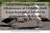 (  2013 Kristin McCully & Myra Finkelstein) Lead Poisoning of Laysan Albatrosses at Midway Atoll: From Ecological Model to Conservation Action.