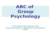 ABC of Group Psychology Turid Suzanne Berg-Nielsen, PhD Associate Professor, Department of Psychology NTNU,
