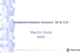 1 Implementation Issues: SI & CA Martin Gold NDS.