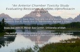 “An Anterior Chamber Toxicity Study Evaluating Besivance, AzaSite, ciprofloxacin and BSS” Authors: Peter J. Ness, Nick Mamalis, Liliana Werner, Surekha.