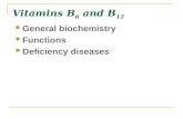 Vitamins B 6 and B 12 General biochemistry Functions Deficiency diseases.