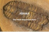 FOSSILS The Most Important Story. TRILOBITES (CAMBRIAN – PERMIAN 541 – 252 MILLION YEARS AGO)