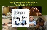 Why Pray for the Sick? James 5:13-16. James 5:13-16 13 Is anyone among you suffering? Let him pray. Is anyone cheerful? Let him sing psalms. 14 Is anyone.