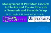 N. C. Leppla, J. H. Frank and M. B. Adjei Management of Pest Mole Crickets in Florida and Puerto Rico with a Nematode and Parasitic Wasp.