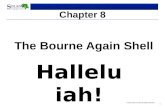1 © 2012 John Urrutia. All rights reserved. Chapter 8 The Bourne Again Shell Halleluiah!