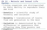 Ch 13 – Meiosis and Sexual Life Cycles Living organisms are distinguished by their ability to reproduce their own kind Genetics = scientific study of heredity.