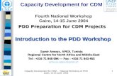 Capacity Development for CDM - National Workshop on PDD Cairo, 14-15 June 2004 1 Capacity Development for CDM Fourth National Workshop Cairo, 14-15 June.