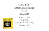 CSC 600 Internetworking with TCP/IP Unit 7: IPv6 (ch. 33) Dr. Cheer-Sun Yang Spring 2001.