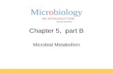 Microbiology AN INTRODUCTION EIGHTH EDITION TORTORA FUNKE CASE Chapter 5, part B Microbial Metabolism.