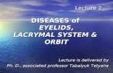 Lecture 2 DISEASES of EYELIDS, LACRYMAL SYSTEM & ORBIT Lecture 2 DISEASES of EYELIDS, LACRYMAL SYSTEM & ORBIT Lecture is delivered by Ph. D., associated.