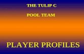 THE TULIP C POOL TEAM PLAYER PROFILES (CAPTAIN) A.K.A CAPTAIN CHROME DOME AGE; 40 FULL NAME MICHEAL WARDER LEFT HANDED PREVIOUS TEAMS RED LION (BOREHAM)