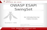 OWASP ESAPI SwingSet An introduction by Fabio Cerullo.