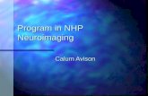 Program in NHP Neuroimaging Calum Avison. Overview Rationale Rationale Biophysics Biophysics Biology / behavior Biology / behavior Facilities / Capabilities.