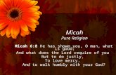 Micah Pure Religion Micah 6:8 He has shown you, O man, what is good; And what does the Lord require of you But to do justly, To love mercy, And to walk.
