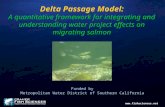Delta Passage Model: A quantitative framework for integrating and understanding water project effects on migrating salmon Funded by Metropolitan Water.