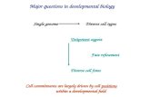 Major questions in developmental biology Single genome Diverse cell types Totipotent zygote Fate refinement Diverse cell fates Cell commitments are largely.