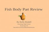 Fish Body Part Review By Kelly Riedell Brookings High School Brookings SD 20web.htm.