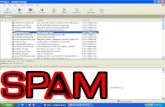 Introduction Spam in Society Email Spam IM Spam Text Spam Blog Spamming Spam Blogs.