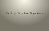 Geologic Time Line Organisms. Precambrian Time Before 570 mybp Bacteria Algae Worms?