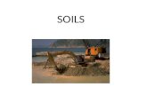 SOILS. What is soil? Soil – relatively thin surface layer of the Earth’s crust consisting of mineral and organic matter.