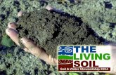 Soil is Pieces of rocks and minerals (such as clay, silt, sand and gravel) Decayed parts of Living things Water Air.