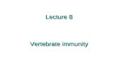 Lecture 8 Vertebrate immunity. Lymphocyte receptor diversity Humans have about 25,000 genes, so there’s clearly not one gene for each of the tens of millions.