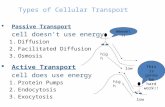 Types of Cellular Transport  Passive Transport cell doesn’t use energy 1.Diffusion 2.Facilitated Diffusion 3.Osmosis  Active Transport cell does use.