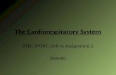 The Cardiorespiratory System BTEC SPORT: Unit 4; Assignment 2 (NAME)